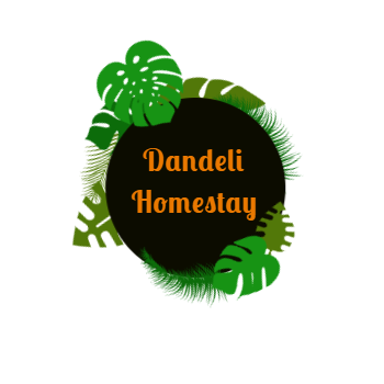 Dandeli Homestay